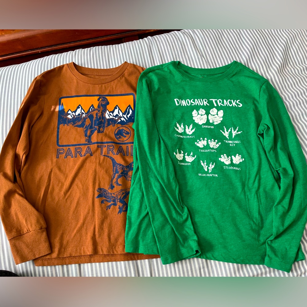 Dinosaur long sleeve shirts size Small/10-12
